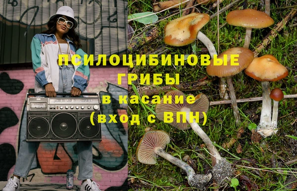 mdpv Арсеньев