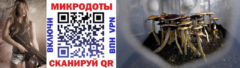 Галлюциногенные грибы MAGIC MUSHROOMS  Рошаль 