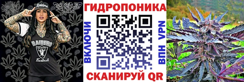 Шишки марихуана Amnesia  мориарти формула  Рошаль 